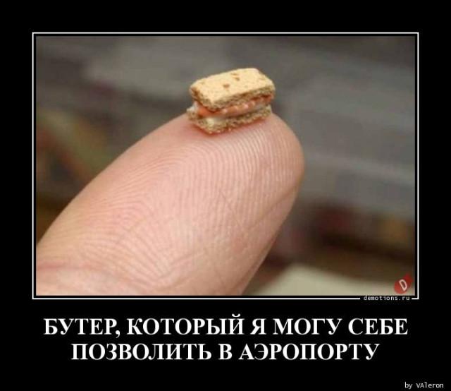 ������������ ������� (15 ����)