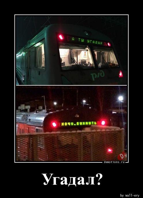 ������������ ������� (15 ����)