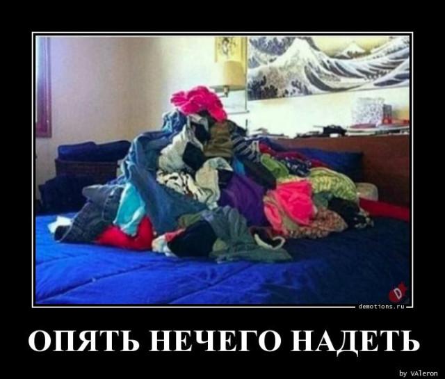 ������������ ������� (15 ����)