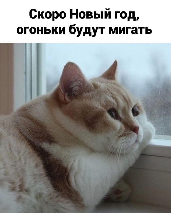 !       (28 )