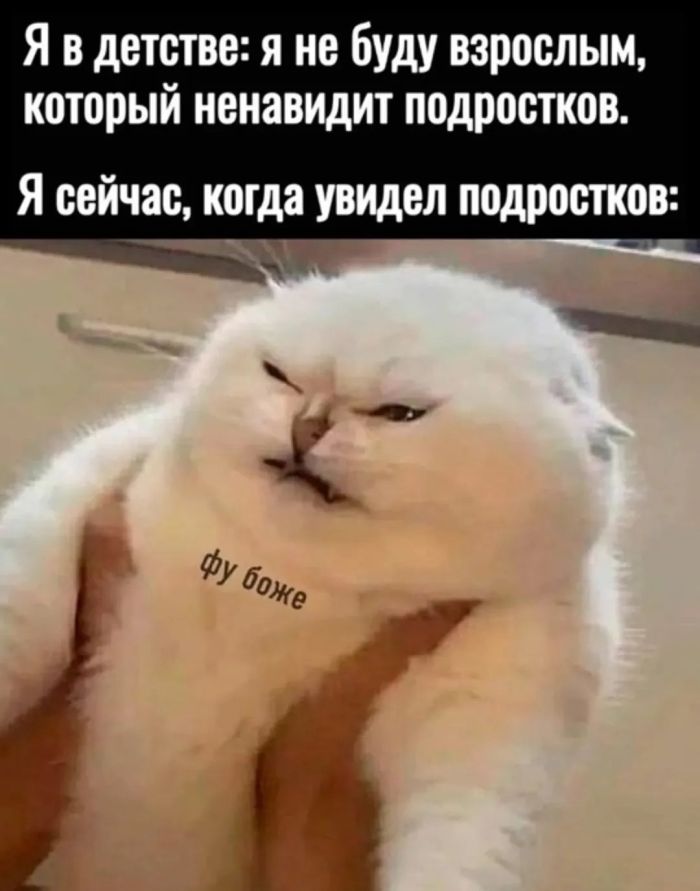 !       (33 )
