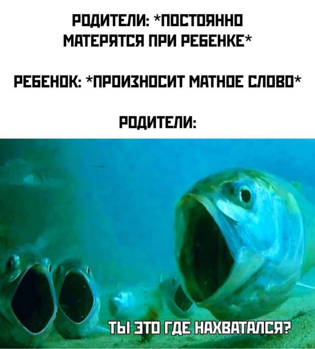 !       (33 )
