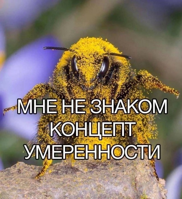 !       (33 )