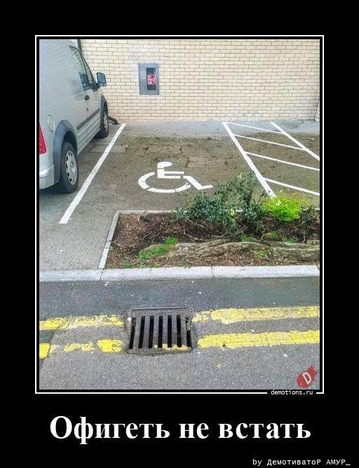 ������������ �������� (17 ����)