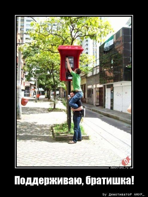 ������������ �������� (17 ����)