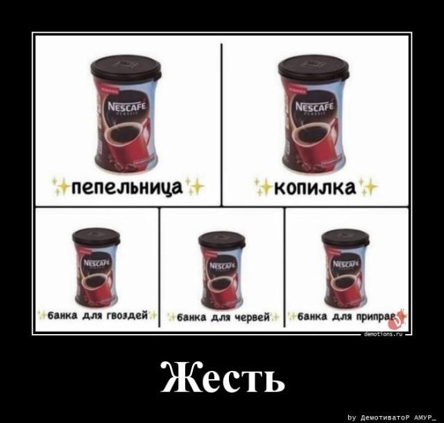 ������������ �������� (17 ����)