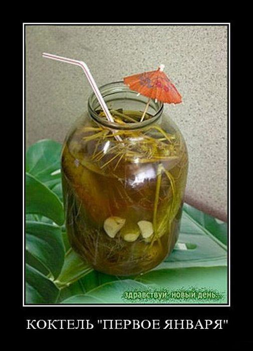 ������������ �������� (17 ����)