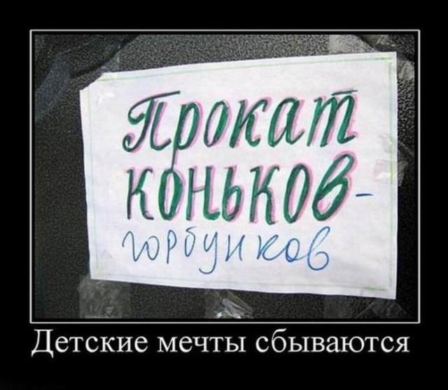 ������������ �������� (17 ����)