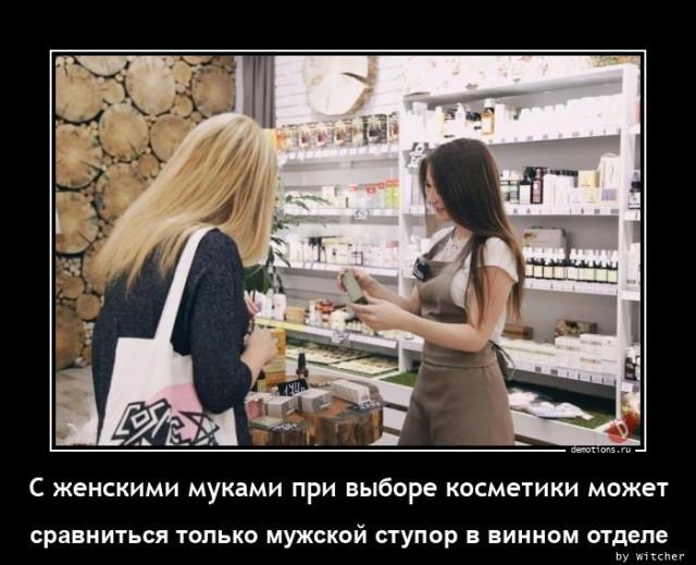 ������������ �������� (17 ����)