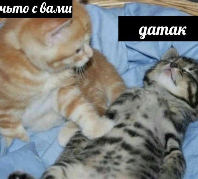 ������ �������� ����� � �������� (27 ����)