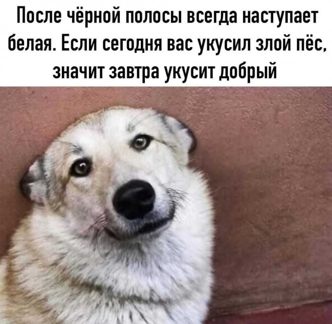 ������ �������� ����� � �������� (27 ����)