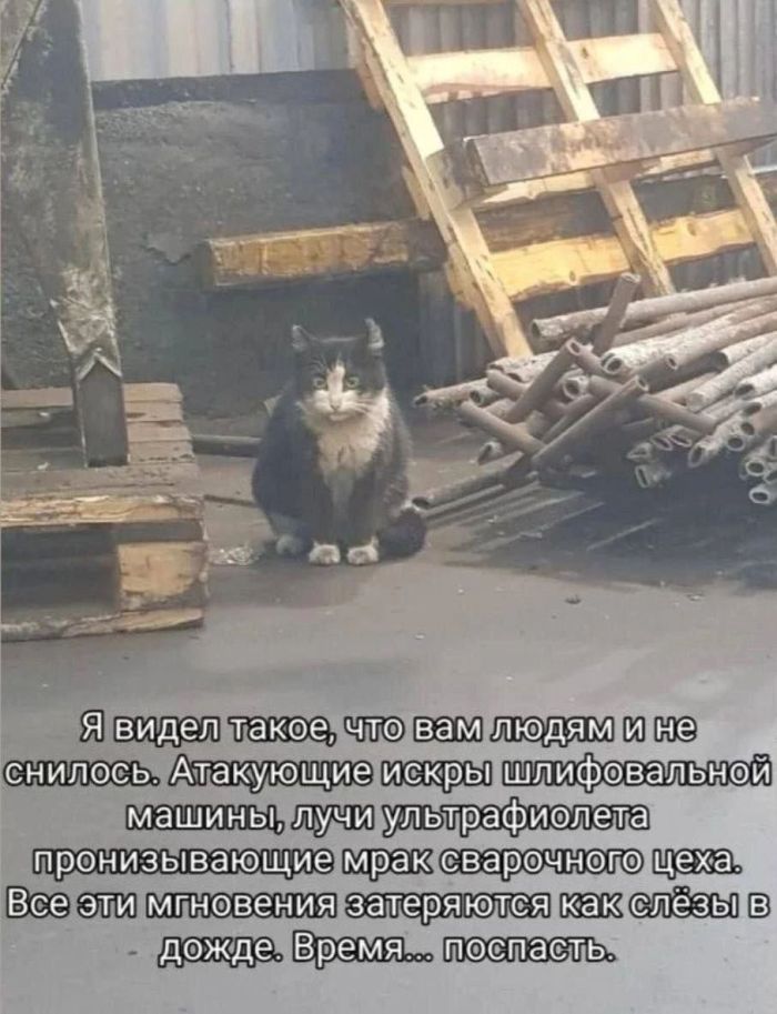 ���������! ������� �������� � ����� ��� �������� ���������� (28 ����)