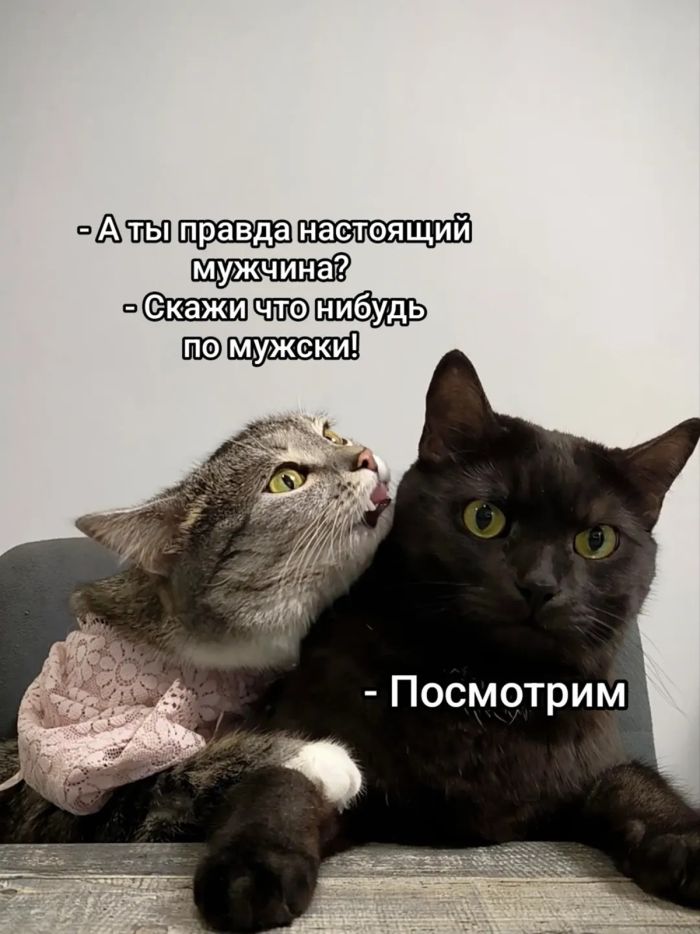 ���������! ������� �������� � ����� ��� �������� ���������� (28 ����)