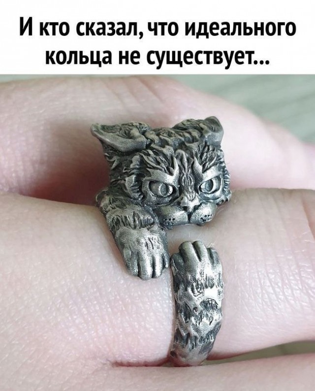 ���������! ������� �������� � ����� ��� �������� ���������� (28 ����)