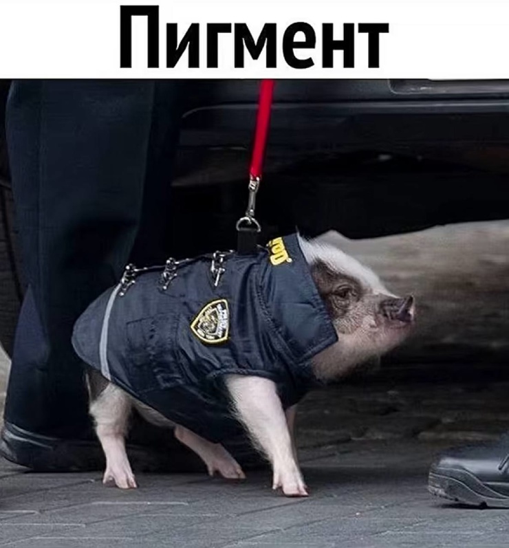 ������� ������ �������� ��� ��������� ���������� (35 ����)