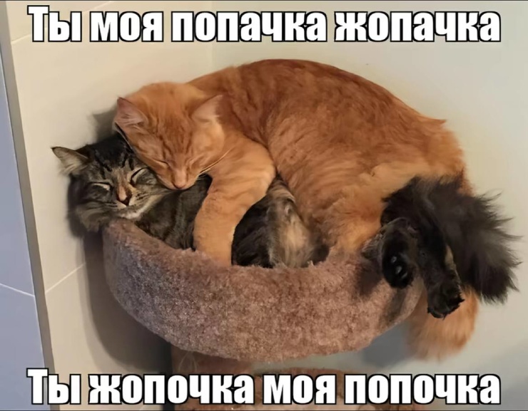 ������� ������ �������� ��� ��������� ���������� (35 ����)