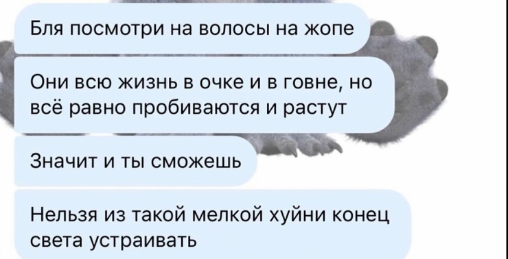 ������� ������ �������� ��� ��������� ���������� (35 ����)