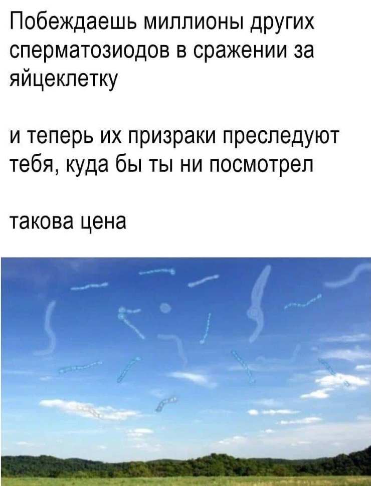 ������� ������ �������� ��� ��������� ���������� (35 ����)