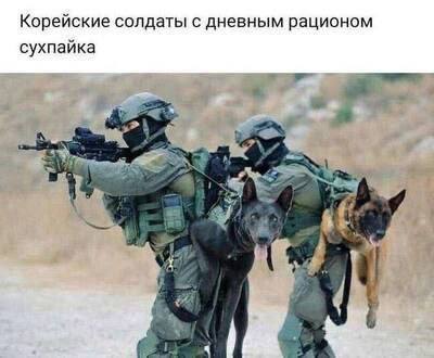 ������� ������ �������� ��� ��������� ���������� (35 ����)