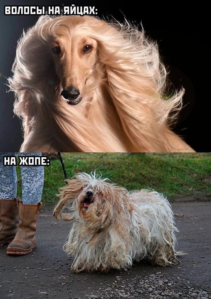 ������� ������ �������� ��� ��������� ���������� (35 ����)