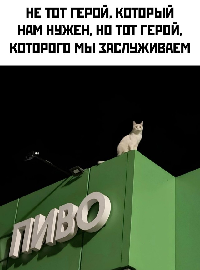 ���������! ������� �������� � ����� (30 ����)