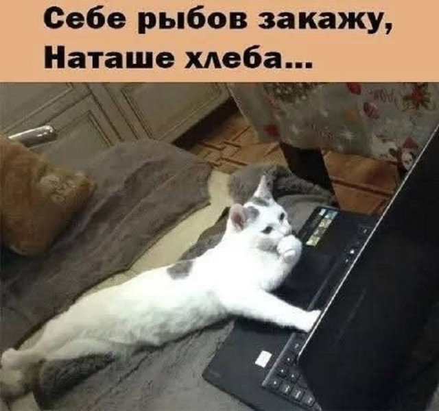 ���������! ������� �������� � ����� (30 ����)