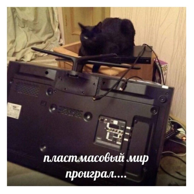 ���������! ������� �������� � ����� (30 ����)