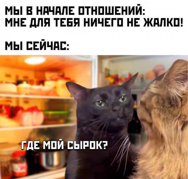 ���������! ������� �������� � ����� (30 ����)