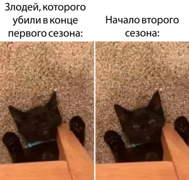 ���������! ������� �������� � ����� (30 ����)