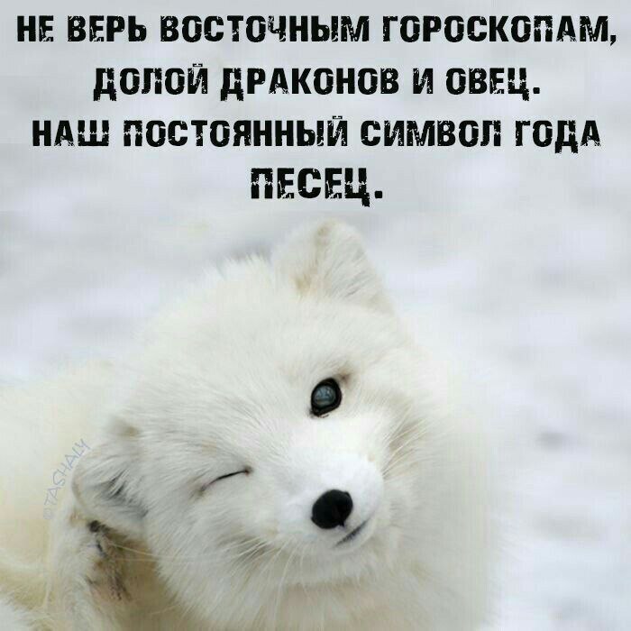 ���������! ������� �������� � ����� (30 ����)