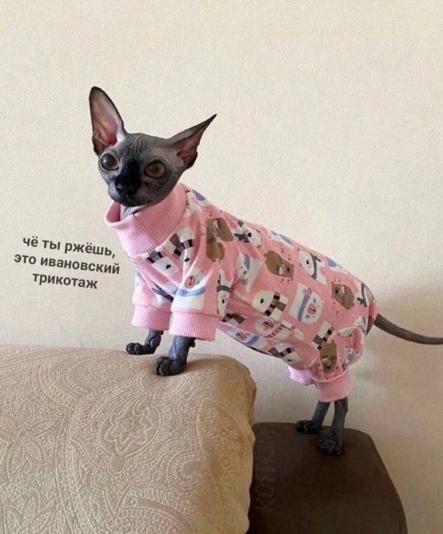 ������� �������� � ����� (35 ����)