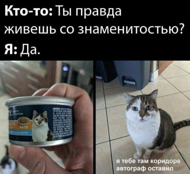 ������� � ���� ��� ���������� (36 ����)