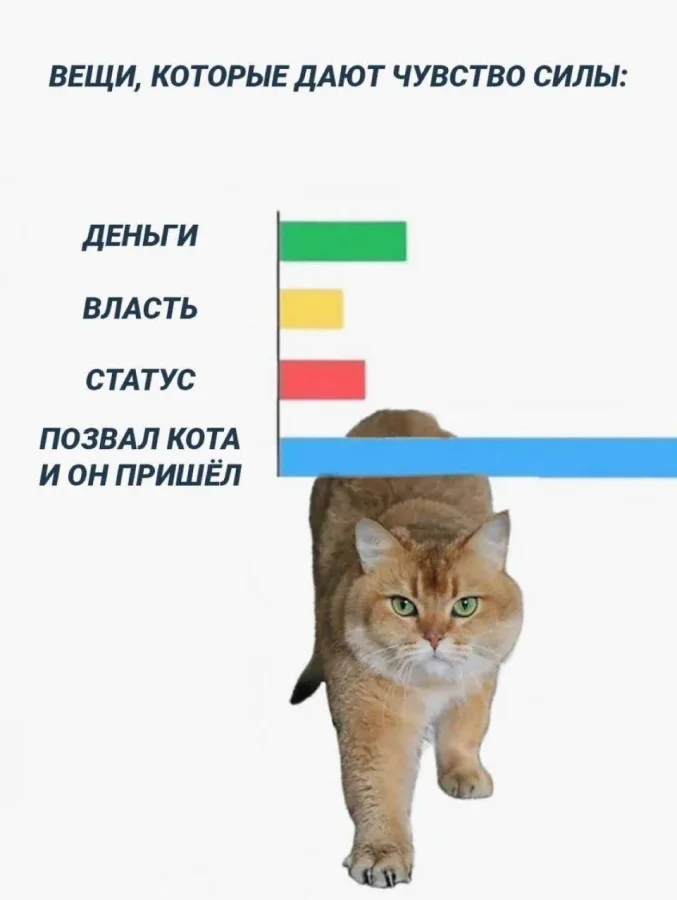 ������ ������� ��� ���������� (22 ����)