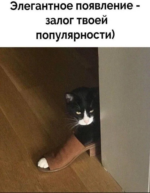 ������ ������� ��� ���������� (22 ����)