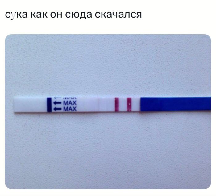 ������ ������� ��� ���������� (22 ����)