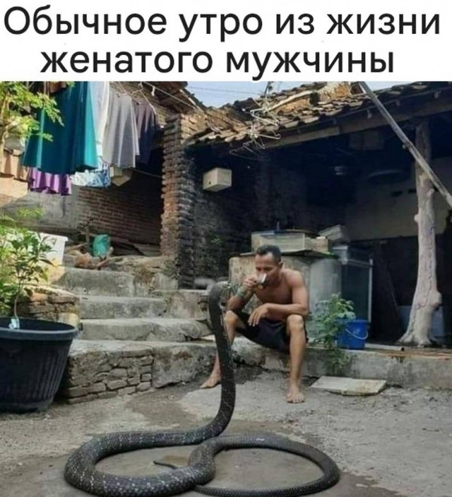 ������ ������� ��� ���������� (22 ����)