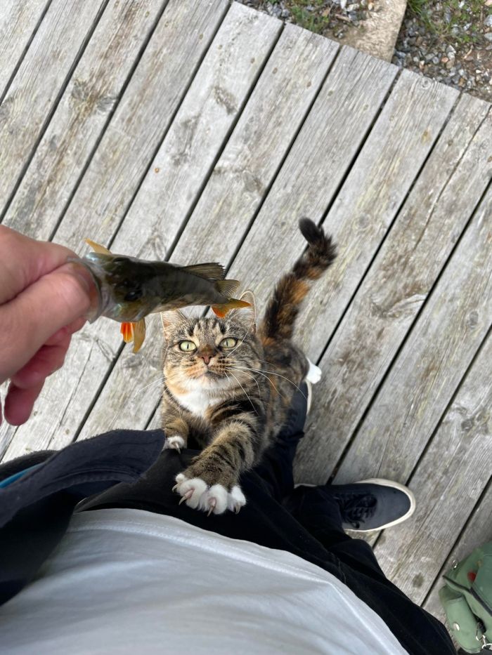 �������� ������ �������� � ����� ��� ��������� ���������� (26 ����)