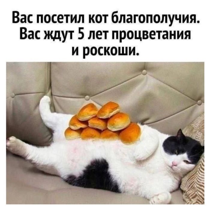 �������� ������ �������� � ����� ��� ��������� ���������� (26 ����)