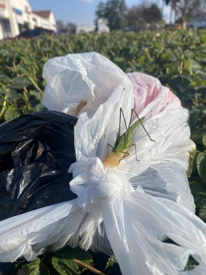 �������� ������ �������� � ����� ��� ��������� ���������� (26 ����)