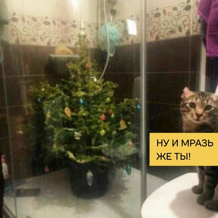 �������� ������ �������� � ����� ��� ��������� ���������� (26 ����)