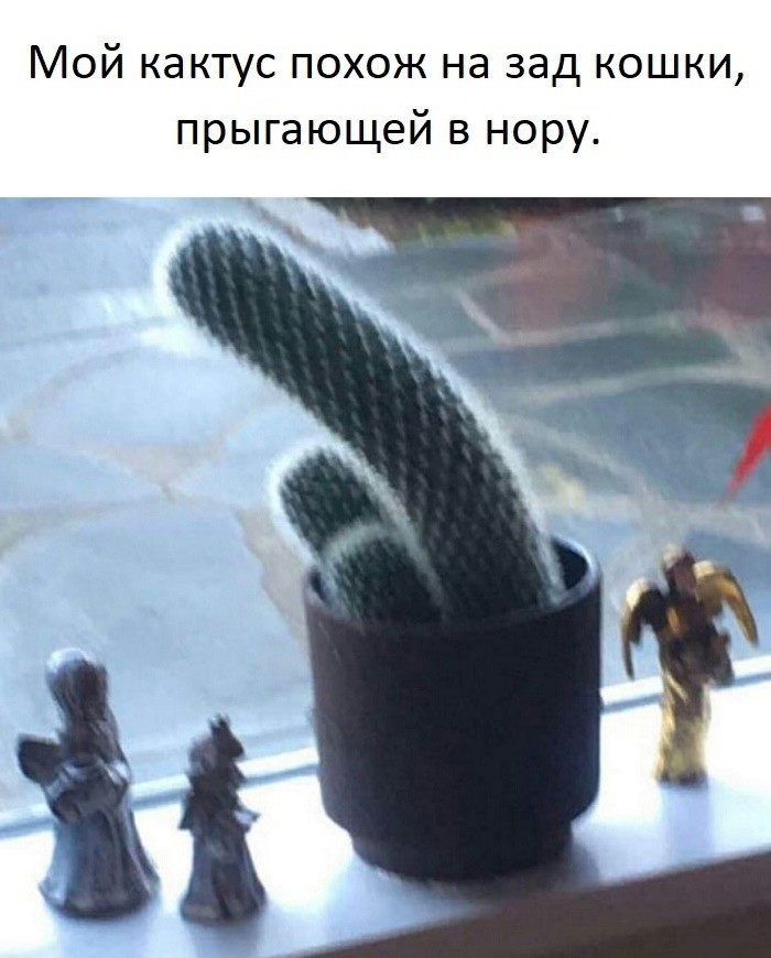 �������� ������ �������� � ����� ��� ��������� ���������� (26 ����)