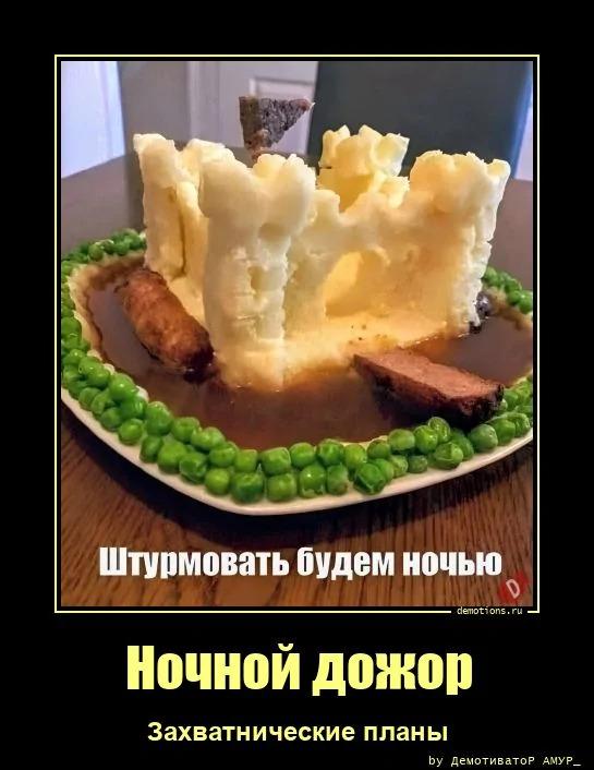 ������������ ������������ (16 ����)