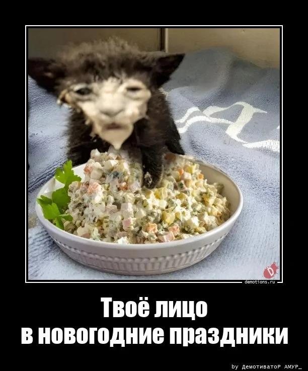 ������������ ������������ (16 ����)