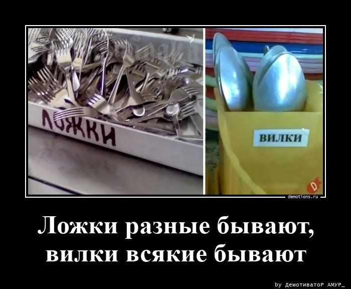 ������������ ������������ (16 ����)