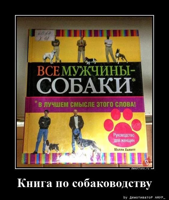 ������������ ������������ (16 ����)