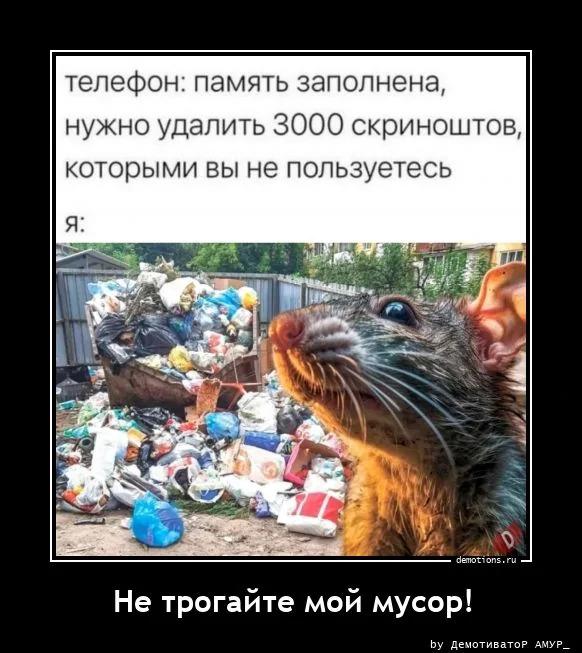 ������������ ������������ (16 ����)