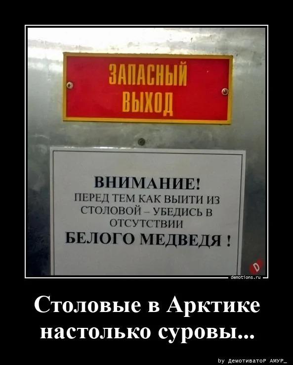 ������������ ������������ (16 ����)