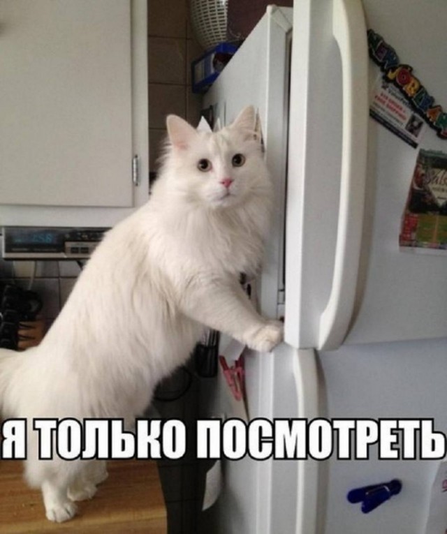 ������� �������� � ����� ��� ���������� (30 ����)