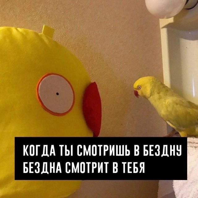 ������� �������� � ����� ��� ���������� (30 ����)