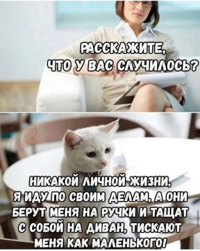 ������� �������� � ����� ��� ���������� (30 ����)